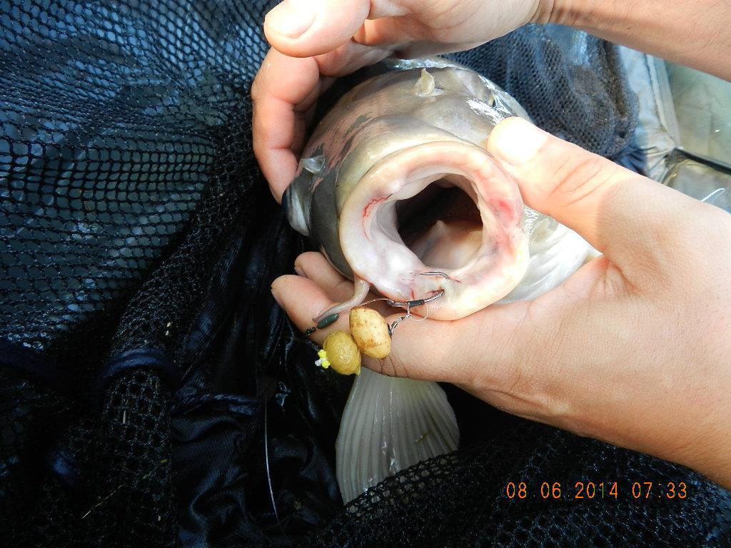 marginal fishing - dscn2655.JPG